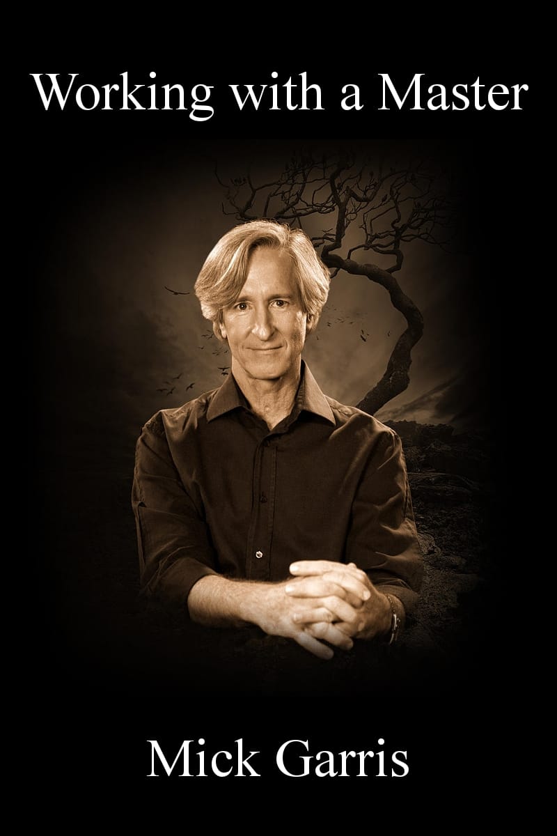 Постер Working with a Master: Mick Garris